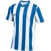 Nike Dres M NK DF STRP DVSN V JSY SS