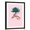 Plakat s paspartujem izjemna Aloe Vera - 20x30 white