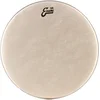 Evans 18 Calftone Tom