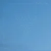 Temple Fang - Lifted From The Wind (2 LP)