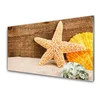tulup.si Slika na steklu Starfish sand art 100x50 cm 4 obešalnika