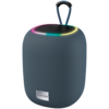 CANYON speaker BSP-8 10W Gray