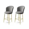 HANAH HOME Set 2 barske stolice Fora Grey Gold