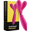 Y Wand Pink vibrator