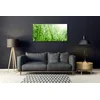 tulup.si Slika na steklu Narava grass drops 125x50 cm 2 obešalnika
