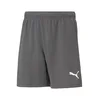 Puma Hlače siva 192 - 197 cm/XXL Teamrise