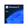 MS ESD Win Pro 11 64-bit