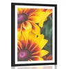 Plakat s paspartujem atrakvitne dvobarvne rože - 20x30 silver