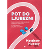 Pot do ljubezni