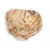 Pladenj Fossil Wood rjavi