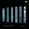 Alexandre Herer & Gael Petrina & Pierre Mangeard - Nunataq (LP)