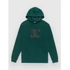 DC Star Hoodie ponderosa pine