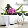 Tapeta vijolična orhideja v Zen tihožitju - 392x264