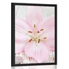 Plakat rožnata lilija in Zen kamni - 20x30 white