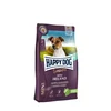 HAPPY DOG Sensible Mini Ireland Salmon & Rabbit Hrana za bolju probavu, 4kg