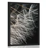 Plakat lepota regratove lučke - 20x30 no frame