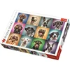 Trefl Puzzle Veseli pasji portreti 1000 kosov