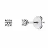 Looi & Co Earrings White Gold (18k) 2U248W8-1