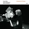 Carla Bley/Andy Sheppard/Steve Swallow - Andando El Tiempo (LP)