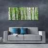 tulup.si Slika na akrilnem steklu Narava rastlin forest trees 125x50 cm 4 obešalnika