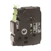 BROTHER Trak STE-151, 24 mm, s šablonskim trakom, laminiran, dolžina 3 m