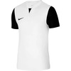 Dres Nike M NK DF TROPHY V JSY SS