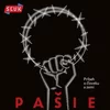 SĽUK - Pašie (Príbeh o človeku a zemi) (CD)