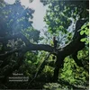 Bladverk - Monumental Thrill, Monumental Chill (LP)