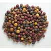 Mivardi Rapid Feeding boiliji - Multi Mix 10kg