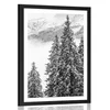 Plakat s paspartujem zasneženi borovi gozdovi v črnobeli varianti - 20x30 no frame