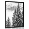 Plakat zasneženi borovi gozdovi v črnobeli varianti - 20x30 no frame