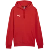 Puma Mikica s kapuco teamGOAL Casuals Hoody