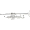 Trobenta 2055T Silver Flair King