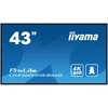 IIYAMA LFD 42.5 VA LH4360UHS-B2AG