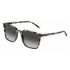 DOLCE & GABBANA Muške sunčane naočare 0DG4424 512/8G 56, Bež- crne