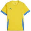 Puma Dres teamGOAL Matchday Jersey jr