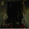 Thundercat It Is What It Is (LP) Stereo