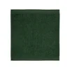 Möve SUPERWUSCHEL brisača 30 x 30 cm temno zelena