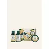 Ginger Haircare Starter Kit