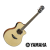 YAMAHA elektro akustična kitara APX500IIIN
