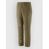 Patagonia Terravia Trail - Reg moške hlače sage khaki