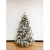 MAISON ADORABLE Novogodišnja jelka SNOWY PREMIUM SILVER FIR 240 cm, Zeleno- bela