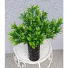Lilium buket simsir 1x5 set/2 140175