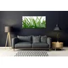 tulup.si Slika na steklu Grass nature rastlin 120x60 cm 2 obešalnika