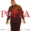 Notorious B.I.G. - Big Poppa (Remix) (LP)