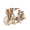 UGEARS 3D lesena mehanska sestavljanka Wheel Holland