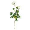 Umetno cvetje Ranunculus, krem
