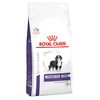 Royal Canin Expert Neutered Junior Large Dog - Varčno pakiranje: 2 x 12 kg