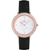 Ura Daniel Wellington ženska, zlata barva, DW00100827