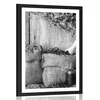 Plakat s paspartujem zdravilna zelišča v črnobeli varianti - 30x45 silver
